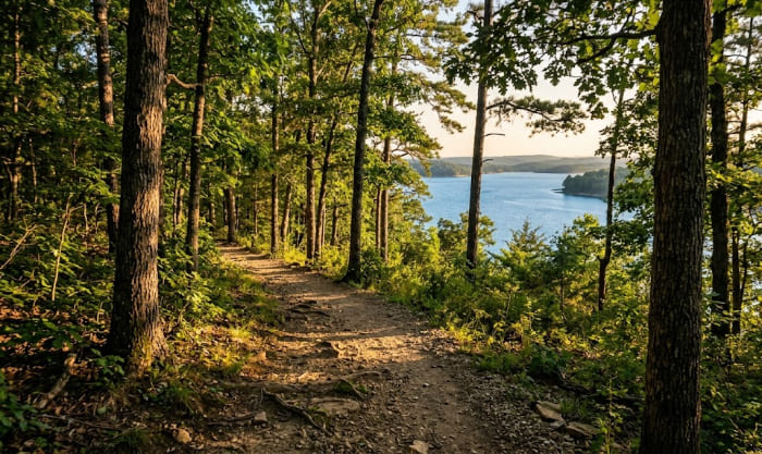 An ultra-realistic, wide-angle horizontal POV photograph taken from the perspective of a hiker on the Norfork Lake Trail in the Ozark Mountains, Arkansas. The dirt and gravel hiking path curves gently to the right, winding into a dense forest of mature oak and pine trees during golden hour. Warm sunlight filters through the canopy, creating soft shadows. Clear, blue Norfork Lake is visible through the trees in the background, reflecting the warm sky. A peaceful, inviting scene encouraging viewers to visualize walking forward near Quarry Park Point. 16:9 aspect ratio.