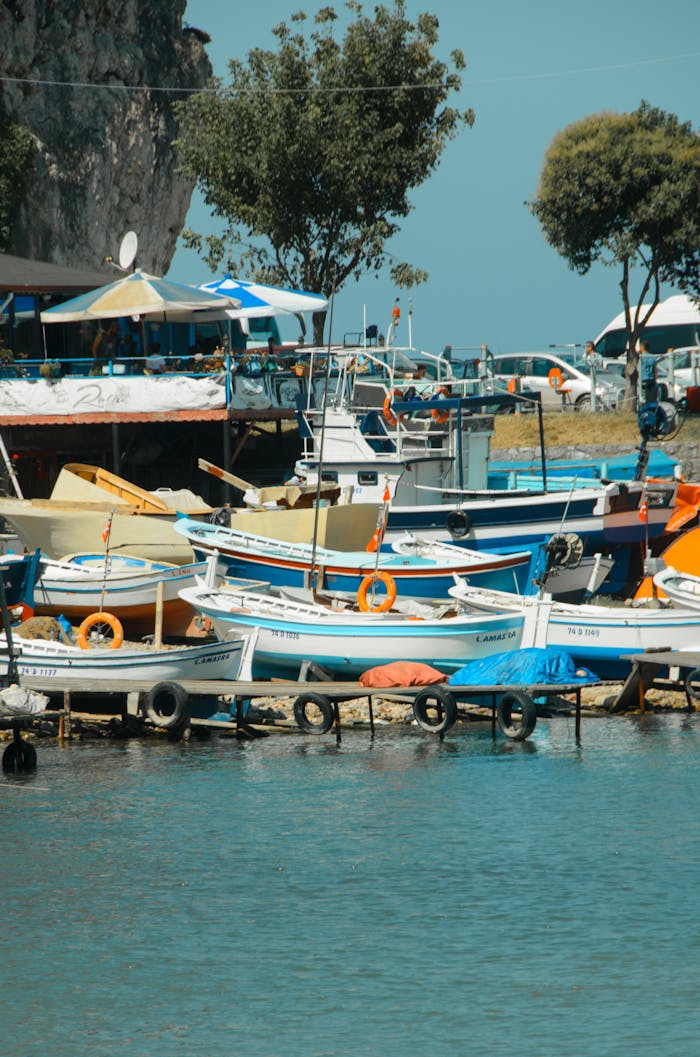Vibrant boats docked at a sunny marina, perfect summer vibe.