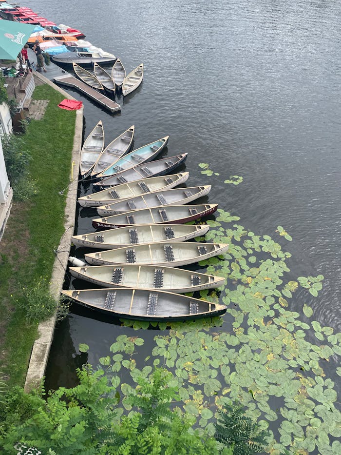 Aerial shot of canoes lined up along a lakeshore with lily pads and greenery.