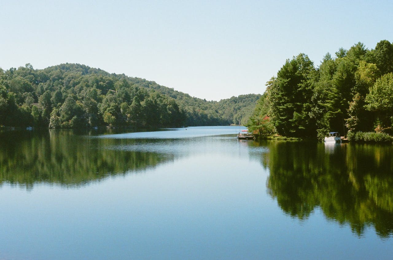about-header Tranquil summer scene of a lake surrounded by lush forests in North Carolina.